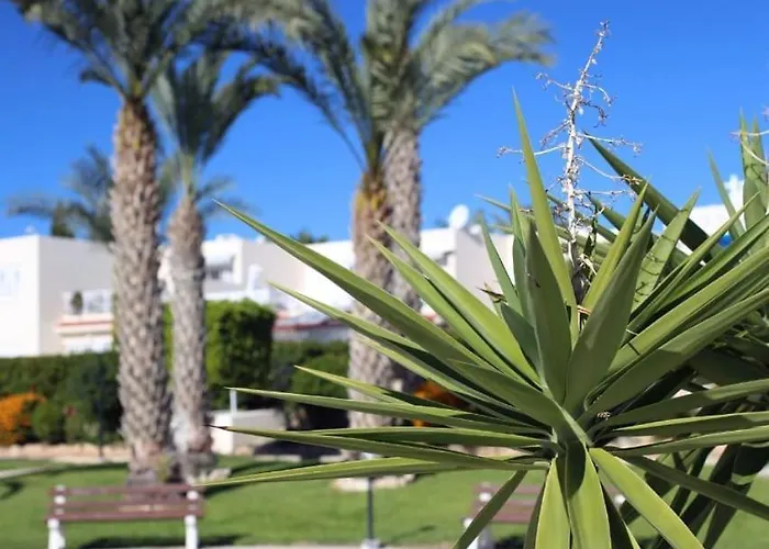 Sunny Coral Bay Pegeia